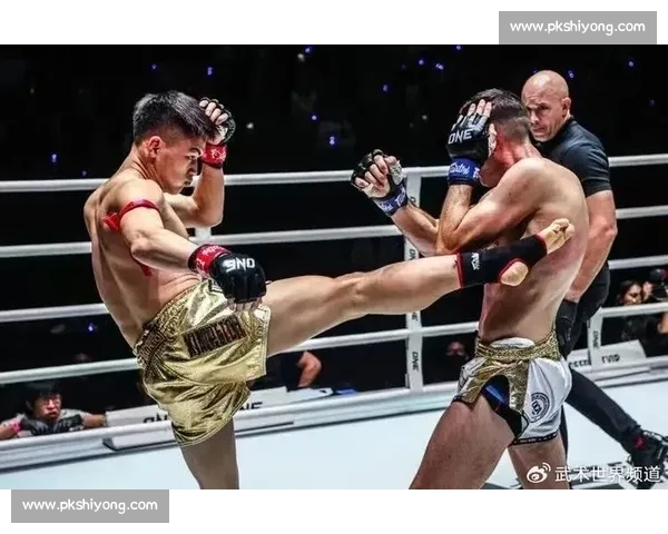 苏波邦对决张春雨拳台巅峰之战引爆格斗赛场风云热血传奇对抗焦点